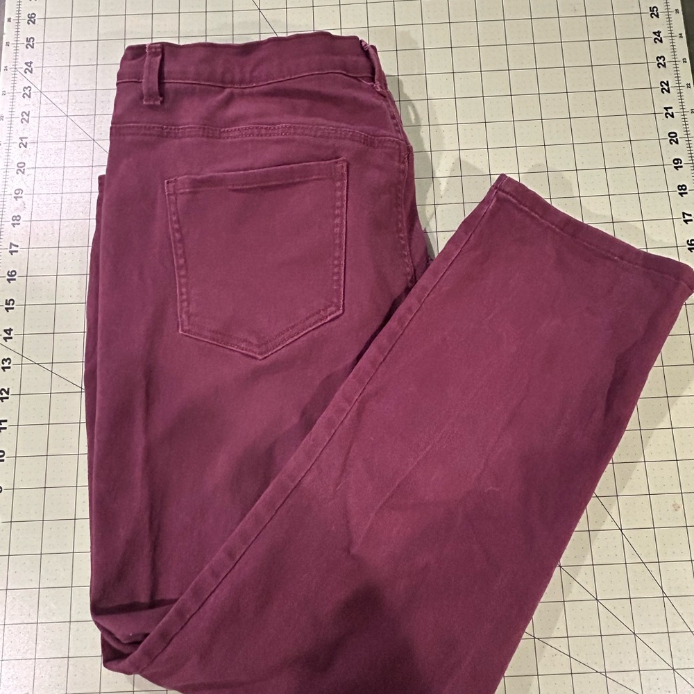 Gloria Vanderbilt Burgundy Straight-Leg Pants | Size 18W